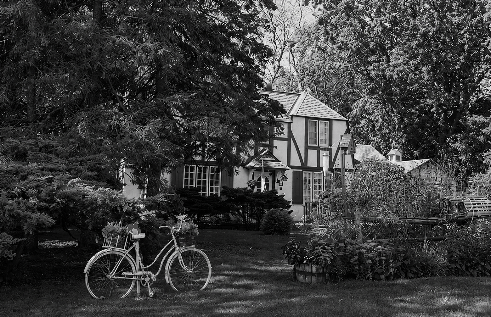 West Island